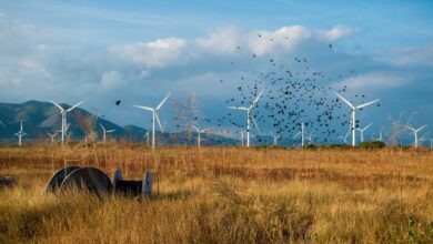 Mexico Eyes US.5B Solar and Wind Plan to Bolster Power Grid
