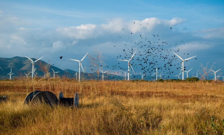 Mexico Eyes US.5B Solar and Wind Plan to Bolster Power Grid Mexico Eyes US.5B Solar and Wind Plan to Bolster Power Grid