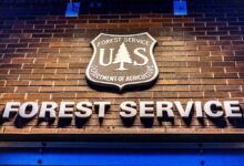 Federal Judge Halts U.S. Agriculture Department Reorganization Over Congressional Funding Violations
