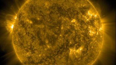 Is the Sun Actually as Normal as We Think?