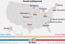 Midterm Elections: Who Is Winning the Race for Congress? Latest Data