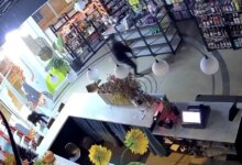 Nineteen Northwest Side Businesses Hit in Chicago Smash-and-Grab Burglaries