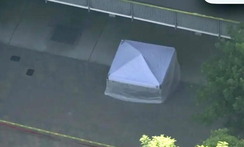 Investigation after student dies in fall from balcony at Highland Park high school