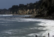Kayaker reportedly tangles with shark while fishing, is bitten, knocked into water, bitten again