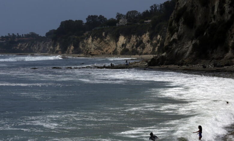 Kayaker reportedly tangles with shark while fishing, is bitten, knocked into water, bitten again Kayaker reportedly tangles with shark while fishing, is bitten, knocked into water, bitten again