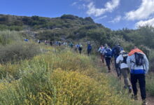 Santa Monica Mountains Parks Close As Seasonal Santa Ana Winds Spark Wildfire Concerns