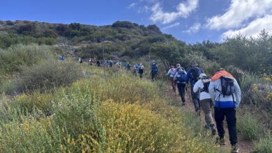 Santa Monica Mountains Parks Close As Seasonal Santa Ana Winds Spark Wildfire Concerns